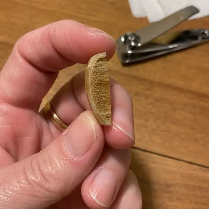 A thick toenail clipping held edge-on, showing the hard layers under the thin top